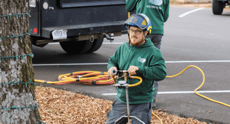HOA tree services in Nashville by The Good Tree Company for safe, healthy, and beautiful communities
