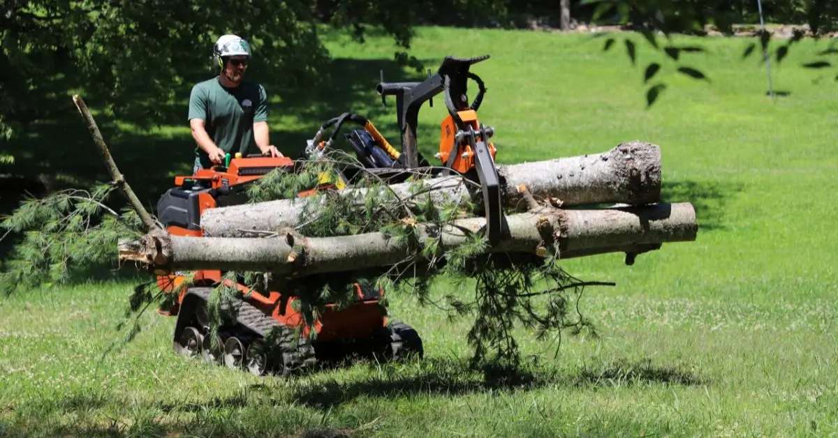 Tree Service Near Me