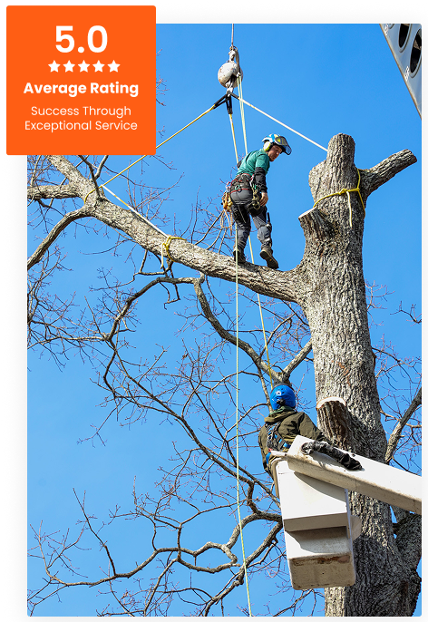Commercial Tree Service